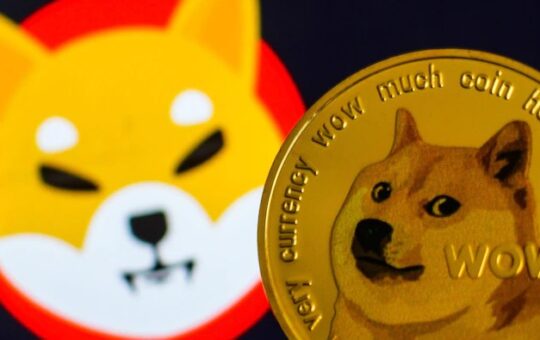 Picture of Dogecoin and Shiba Inu