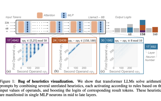 Decoding Arithmetic Reasoning in LLMs: The Role of Heuristic Circuits over Generalized Algorithms