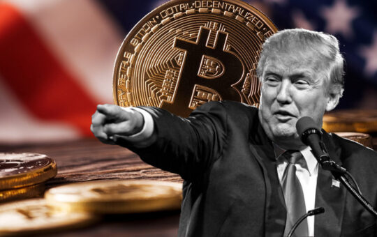 Excitement over Trump's win pushes Bitcoin price above $80k