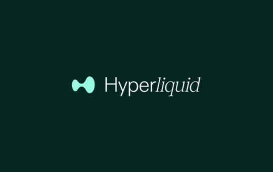 Hyperliquid's HYPE token surges past $10 billion market cap