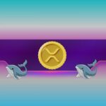 Ripple, Dogecoin Whales Bought the Dip as XRP, DOGE Prices Soar